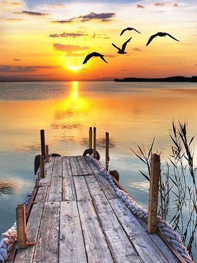 Diamond Painting, Reflection, Tree Decoration, Digital Oil Painting, Cross Stitch - FushionX Techflex